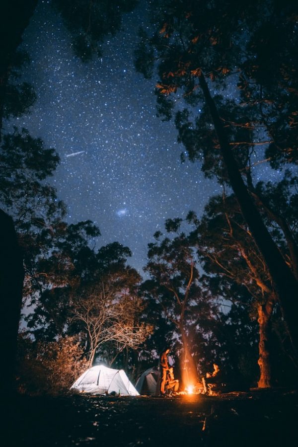 jonathan-forage-1azAjl8FTnU-unsplash