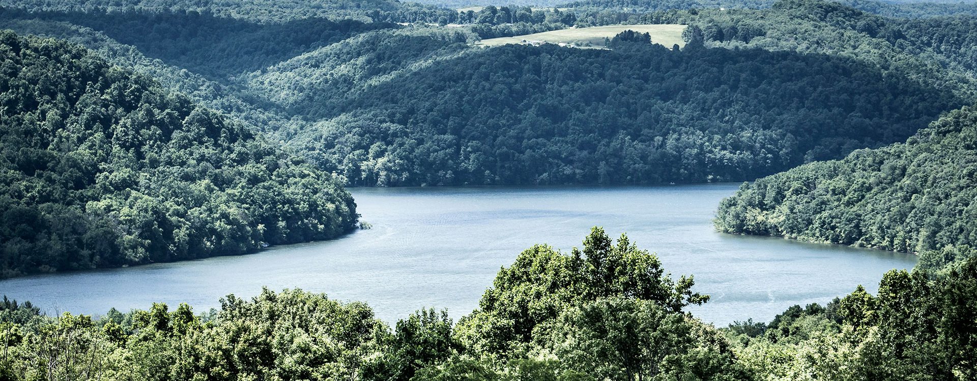 sean-foster-oBfL2hrHup0-unsplash